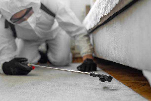 Professional Termite Control technician working in Rutledge, GA