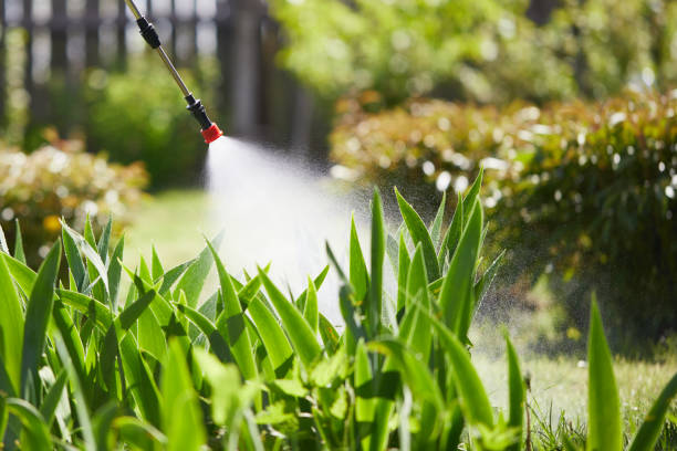 24/7 Emergency Termite Control experts in Rutledge, GA